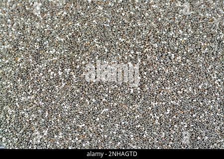 Semi di chia essiccati ad alto contenuto di fibre alimentari, vitamine, minerali, proteine, grassi e carboidrati, Ricco in vitamine di B, tiamina e niacina, it' Foto Stock