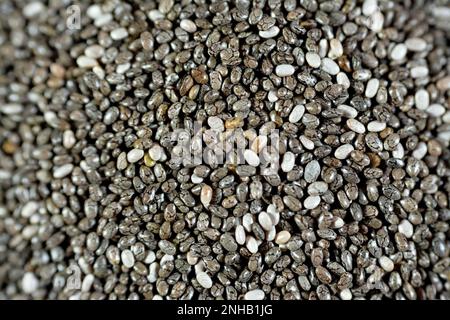 Semi di chia essiccati ad alto contenuto di fibre alimentari, vitamine, minerali, proteine, grassi e carboidrati, Ricco in vitamine di B, tiamina e niacina, it' Foto Stock