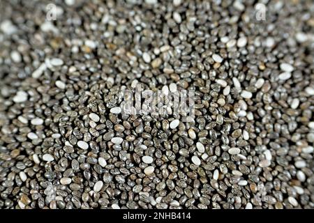 Semi di chia essiccati ad alto contenuto di fibre alimentari, vitamine, minerali, proteine, grassi e carboidrati, Ricco in vitamine di B, tiamina e niacina, it' Foto Stock