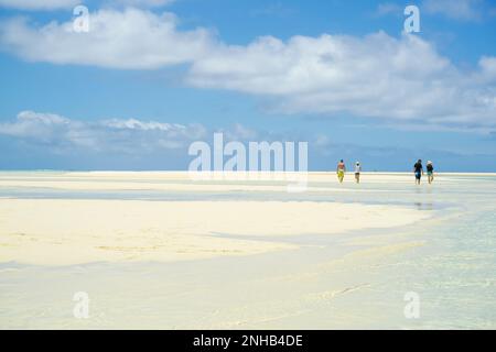 Isole Cook Aitutaki - 7 2010 novembre; effetti di calore shimmer quattro persone che camminano verso l'orizzonte sopra la laguna di sabbia corallo con la bassa marea Foto Stock