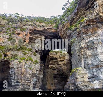 Archi in alte scogliere lungo il lungomare sulla costa meridionale della Tasmania, Australia, nel Tasman National Park. Foto Stock