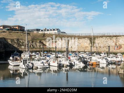 Barche ormeggiate a Seaham Harbour marina, Co. Durham, Inghilterra, Regno Unito Foto Stock