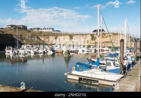 Barche ormeggiate a Seaham Harbour marina, Co. Durham, Inghilterra, Regno Unito Foto Stock