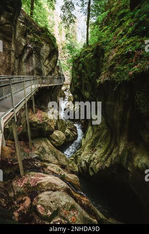 Gole maestose du Pont du Diable Cave in Francia Foto Stock