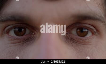 Primo piano degli occhi marroni del giovane Foto Stock