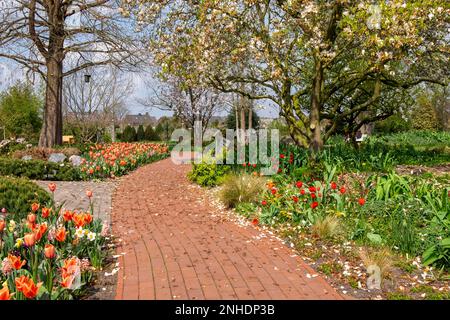 Primavera nel Giardino didattico Distrettuale Foto Stock