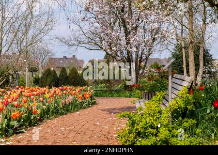 Primavera nel Giardino didattico Distrettuale Foto Stock