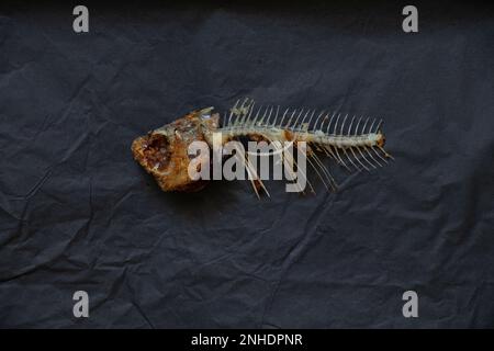 scheletro di pesce fritto su fondo di carta nera primo piano Foto Stock