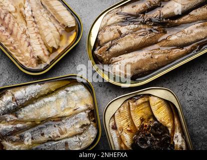 Pesce assortito in scatola su fondo di cemento grigio: Sardina, sardina affumicata, sgombro. Pesce in scatola come un cibo conveniente, veloce, sano e. Foto Stock