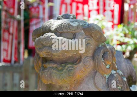 L'isola di Enoshima, Fujisawa, prefettura di Kanagawa, Giappone. Komainu sono i guardiani dei santuari shintoisti e talvolta dei templi, di solito in coppia, uno con o Foto Stock