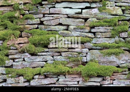 Vecchio muro di pietra a secco coperto di muschio e lichene Foto Stock