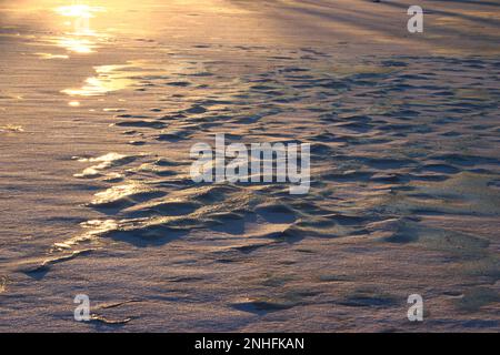 Il ghiaccio cresce sul fiume coperto di neve, sfondo ghiacciato Foto Stock