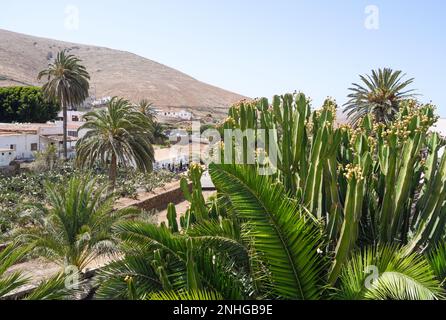 Vista panoramica di Betancuria a Fuerteventura Foto Stock