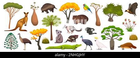 Fauna e flora australiana insieme piatto con animali uccelli e piante isolati su sfondo bianco illustrazione vettoriale Illustrazione Vettoriale