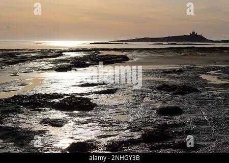 Castello di Dunstanburgh all'alba attraverso Embleton Bay Foto Stock