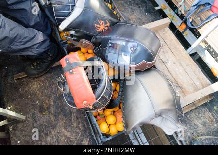 Torino, Torino, Italia. 21st Feb, 2023. Veduta generale della ''Battaglia degli arance'' il 21 febbraio 2023 a Ivrea, Italia. La Battaglia degli arance, la più grande lotta alimentare in Italia, si svolge durante la stagione del carnevale ed è una rievocazione simbolica di una rivoluzione che si è svolta a Ivrea nel Medioevo, con nove squadre di ambulanti-aranceri che lanciano arance contro aranceri che cavalcano su carri. Il Carnevale di Ivrea torna dopo due anni di sospensione a causa della pandemia di COVID. Credit: ZUMA Press, Inc./Alamy Live News Foto Stock