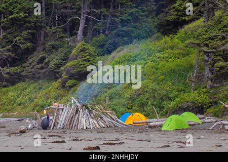 Campeggio di gruppo sulla spiaggia di Shi Shi nell'Olympic National Park, Washington state, USA [Nessun rilascio di modelli, solo licenza editoriale] Foto Stock