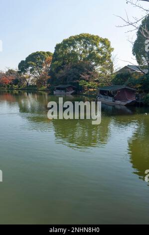 Osawa Pond, al tempio Daikaku-ji in autunno, Kyoto, Giappone. Foto Stock