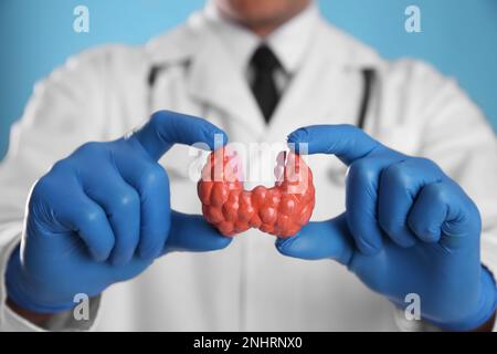 Medico che tiene modello di plastica della tiroide su sfondo azzurro, primo piano Foto Stock