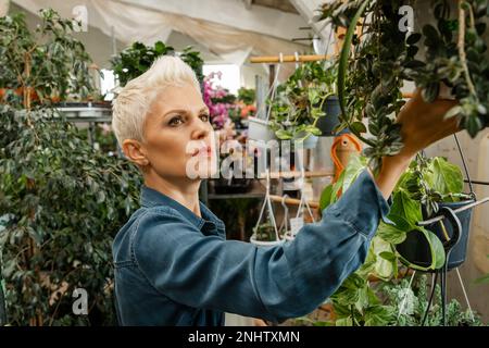 Donna attraente che lavora in serra e godendosi in fiori. Foto Stock
