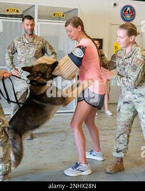 Melissa Greenwood, moglie del maggiore James Greenwood, 436th Logistics Readiness Squadron Commander, partecipa a un esercizio di aggressione controllata con il cane militare di lavoro Sam e Airmen del 436th Security Forces Squadron durante un tour di immersione del coniuge sulla base dell'aeronautica di dover, Delaware, 3 agosto 2022. I coniugi dei comandanti dell'AFB di dover e i dirigenti senior arruolato hanno girato la base e hanno incontrato gli Airmen di vari squadroni per familiarizzare con la missione del Team dover. Foto Stock