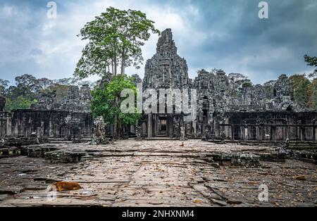 Due cani randagi si trovano vicino a un ingresso alle rovine del famoso tempio di Bayon, all'interno di Angkor Thom e vicino a Angkor Wat in Cambogia. Foto Stock