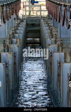 John Day Lock & Dam si trova a 216 miglia a monte dalla foce del fiume Columbia vicino alla città di Rufus, Ore. dedicato nel 1968, la costruzione di John Day Lock & Dam è stato completato nel 1971. Il progetto, che consiste in un blocco di navigazione, un canale di fuoriuscita, un impianto di alimentazione e di passaggio dei pesci, è autorizzato per la navigazione e la generazione di energia idroelettrica. Lungo il lago Umatilla e il fiume John Day sono disponibili varie strutture ricreative. Foto Stock