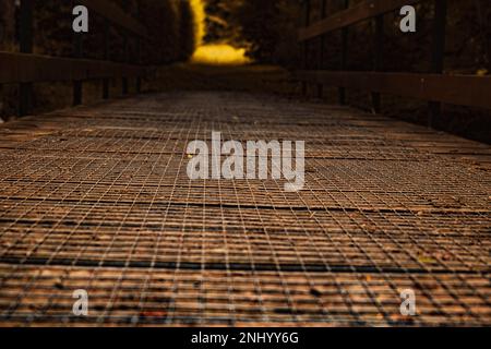 vista dal suolo da un ponte di legno in autunno Foto Stock