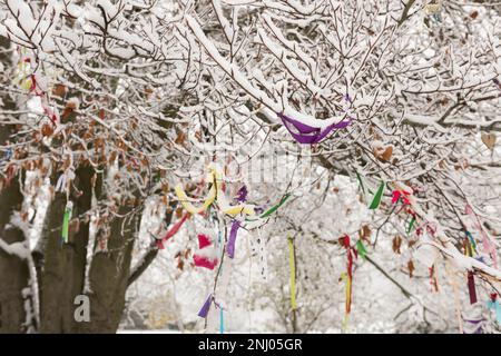 Albero del nastro, nastri colorati, clooties e bande legate su rami di un albero di preghiera di faggio vicino al barrow a Coldrum lungo barrow Foto Stock