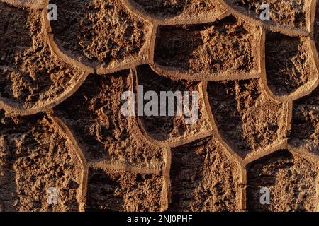 La parete marrone decorata con motivi decorativi sulla sua pietra Foto Stock