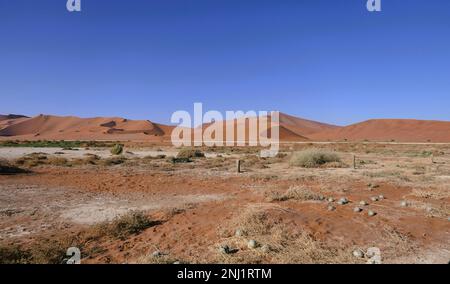 Esplorare il deserto del Namib in Africa con Trailfinders Foto Stock