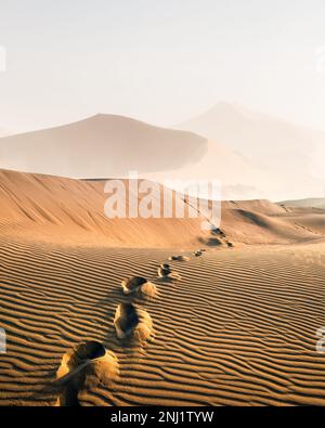 Impronte nella sabbia nel deserto al tramonto. Fotografia naturalistica e paesaggistica Foto Stock