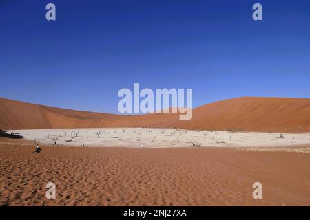 Esplorare il deserto del Namib in Africa con Trailfinders Foto Stock