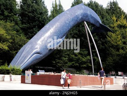 Tokyo, Giappone - Settembre 2017: Scultura di balena azzurra al Museo Nazionale della natura e della Scienza, ampia varietà di mostre di storia naturale Foto Stock