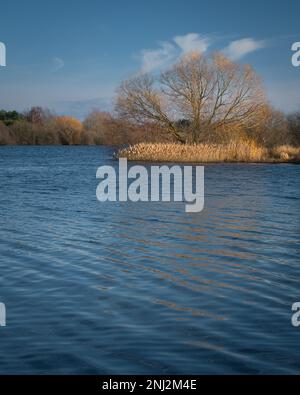 Acqua di Alton (serbatoio di Alton) in una giornata di sole nel mese di febbraio. Colori caldi di alberi, cielo blu. Foto Stock