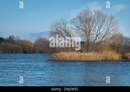 Acqua di Alton (serbatoio di Alton) in una giornata di sole nel mese di febbraio. Colori caldi di alberi, cielo blu. Foto Stock