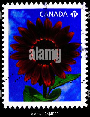 MOSCA, RUSSIA - 15 FEBBRAIO 2023: Francobollo stampato in Canada mostra girasole 'Prado Red', girasole (helianthus annuus) serie, circa 2011 Foto Stock