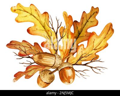 acquerello foglie, ghiande e rami di quercia, composizione autunnale, disegno a mano, giallo, arancione, colore marrone Foto Stock