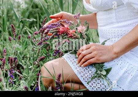 Mani di donna che raccolgono fiori selvatici in un bouquet Foto Stock