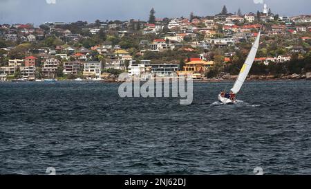 495 barca a vela per Watsons Bay sulla penisola di South Head di Port Jackson. Sydney-Australia. Foto Stock