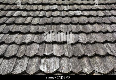 Grigio, tegole di legno sfondo, texture. Primo piano di un vecchio tetto grigio coperto da piastrelle di legno. Foto Stock