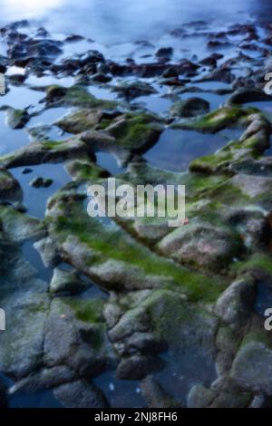 Nuovo, sfida all'età, era digitale, premium, accattivante, immagine spiccata, ad alta risoluzione, di un primo piano di pozze marine con riflessi Foto Stock