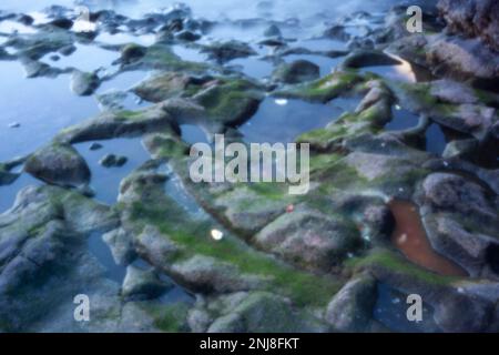 Nuovo, sfida all'età, era digitale, premium, accattivante, immagine spiccata, ad alta risoluzione, di un primo piano di pozze marine con riflessi Foto Stock