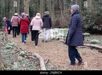 I visitatori dell'annuale Snowdrop Walk presso la Casa di Dio, una casa per anziani fondata a Greatham Hartlepool nel 1273 Foto Stock