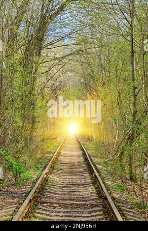 Ucraina. Molla. Ferrovia nella fitta foresta decidua. Tunnel dell'Amore Foto Stock