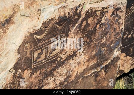 Antichi petroglifi al Parco Nazionale della Foresta pietrificata Foto Stock