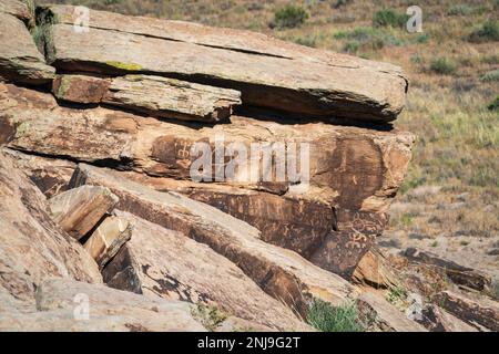 Antichi petroglifi al Parco Nazionale della Foresta pietrificata Foto Stock