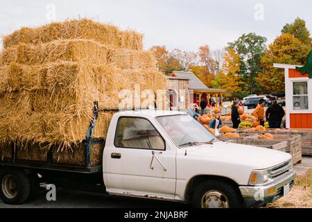 Un camioncino da pickup bianco è accatastato con le baie di paglia con i clienti che pagano le loro zucche sullo sfondo in un giorno di caduta overcast a ma Foto Stock