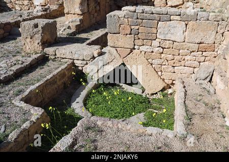 Particolare architettonico di Cartagine punica Foto Stock