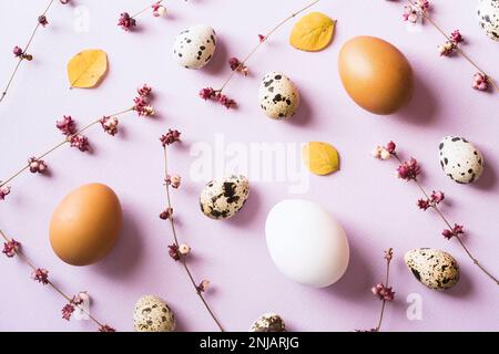 Uova e fiori primaverili viola sparsi su sfondo viola Foto Stock